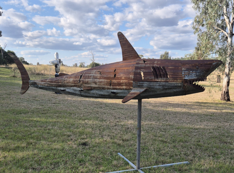 Outback Shark