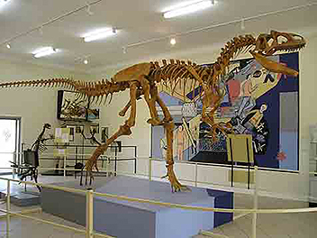 The resident Allosaur of Gallery 1