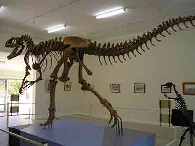 The life size Allosaur at Ceramic Break Sculpture Park - Warialda