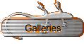 Galleries